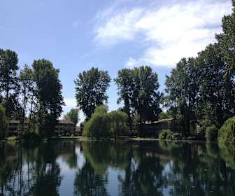 Apartments For Rent In Camp Murray Wa 414 Rentals Apartmentguide Com