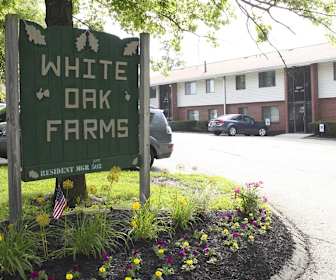 Apartments For Rent In White Oak Pa 121 Rentals