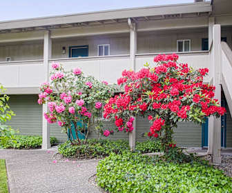 1 Bedroom Apartments For Rent In Tacoma Wa 141 Rentals