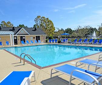 Pet Friendly Apartments For Rent In Coastal Carolina University Sc