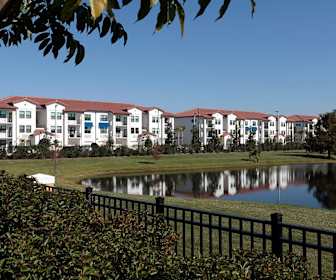 Apartments For Rent In Hollywood Fl 505 Rentals Apartmentguide Com