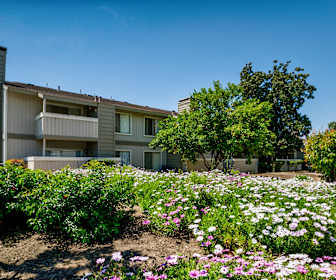 Apartments For Rent In Merced Ca 116 Rentals Apartmentguide Com