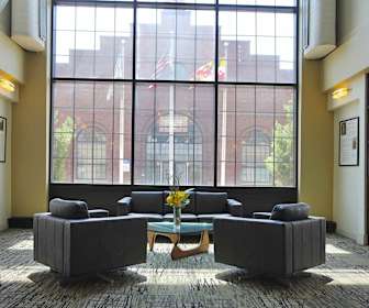 Canton 1 Bedroom Apartments For Rent Baltimore Md 121 Rentals