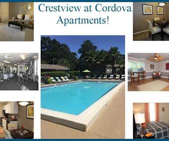Northeast Pensacola Apartments For Rent 89 Apartments