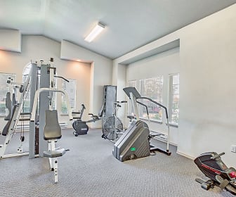 workout room featuring carpet, lofted ceiling, and natural light, Olympic Pointe I & II Apartments