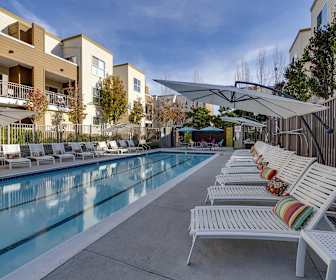 92 Modern Ascent apartments san jose reviews Living Room