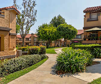 Apartments For Rent In Corona Ca 113 Rentals Apartmentguide Com Find a chiropractor in corona, ca. apartments for rent in corona ca 113