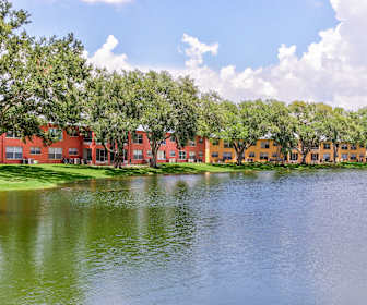 Apartments For Rent In Jasmine Estates Fl 338 Rentals Apartmentguide Com