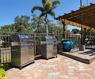 Apartments For Rent In Jasmine Estates Fl 338 Rentals Apartmentguide Com