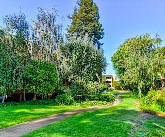Apartments For Rent In Alum Rock Ca 402 Rentals Apartmentguide Com