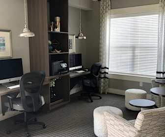 Apartments For Rent In Delmar Md 97 Rentals Apartmentguide Com