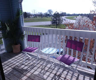Pet Friendly Apartments For Rent In Cincinnati Oh