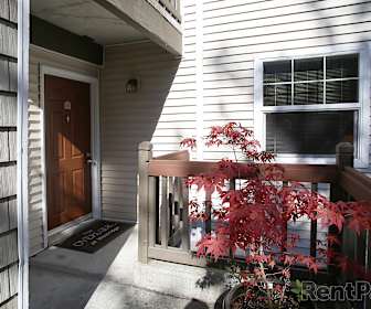 West Seattle 3 Bedroom Apartments For Rent Seattle Wa 46 Rentals