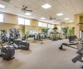 gym with a ceiling fan, carpet, and a healthy amount of sunlight, 1010 Pacific Apartments