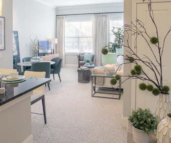 1 Bedroom Apartments For Rent In Bedford Ma 36 Rentals