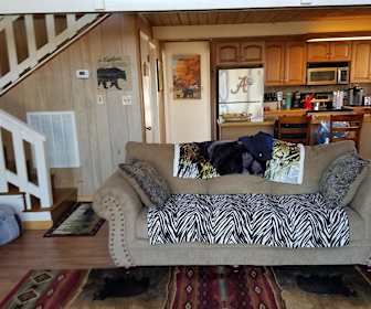 Apartments For Rent In Gatlinburg Tn 179 Rentals Apartmentguide Com