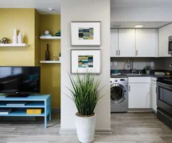 Apartments For Rent In Jefferson Community And Technical College Ky 240 Rentals Apartmentguide Com
