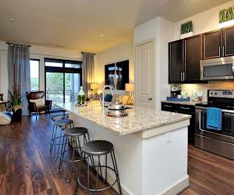 Furnished Apartments For Rent In Downtown Austin Texas 17 Rentals
