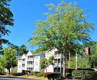 Studio Apartments For Rent In Columbia Sc 22 Rentals