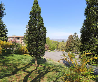 view of nature featuring a lawn, Mountain Lake