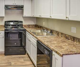 Apartments For Rent In Putney Ga 82 Rentals Apartmentguide Com