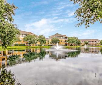 Apartments For Rent In New Port Richey Fl 130 Rentals