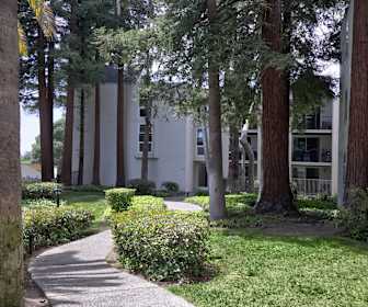 Downtown Walnut Creek Apartments For Rent 164 Apartments Walnut Creek Ca Apartmentguide Com