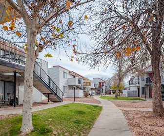 Amphi Apartments For Rent 115 Apartments Tucson Az Apartmentguide Com