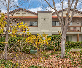 Apartments For Rent In Diablo Valley College Ca 228