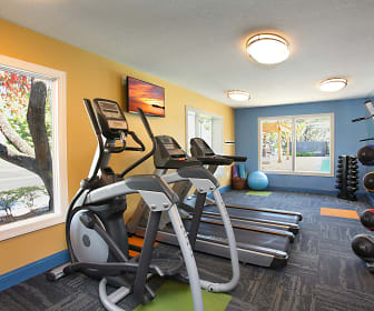 exercise area featuring a healthy amount of sunlight, Agora at Port Richey
