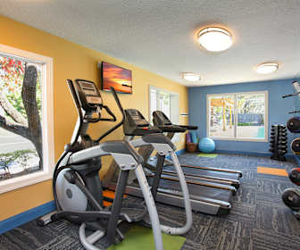 Apartments For Rent In Jasmine Estates Fl 338 Rentals Apartmentguide Com