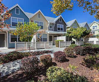 Apartments For Rent In Rio Del Mar Ca 447 Rentals Apartmentguide Com