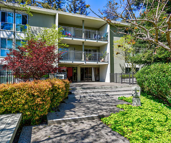 Apartments For Rent In San Mateo Ca - 232 Rentals Apartmentguidecom