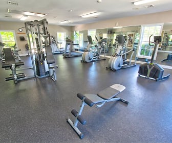 workout area featuring natural light and TV, Aspen Glen