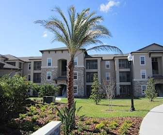 Apartments For Rent In Trinity Fl 339 Rentals Apartmentguide Com