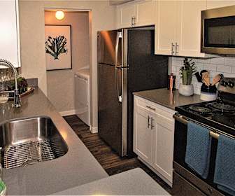 Apartments For Rent In Florida Hospital College Of Health Sciences Fl 436 Rentals Apartmentguide Com