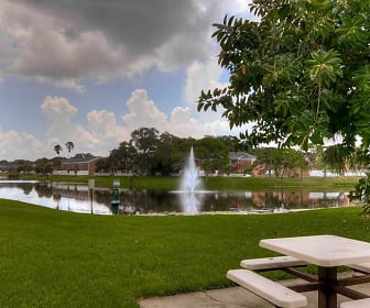 The Park at Treviso, University of South Florida Saint Petersburg, FL
