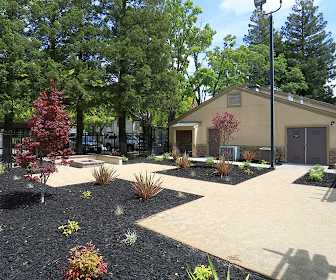 Apartments For Rent In Winters Ca 527 Rentals Apartmentguide Com
