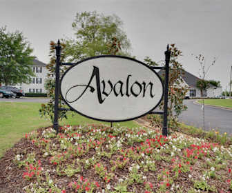 Apartments For Rent In Louisville Ms 46 Rentals