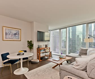 313 W Wolf Point Plz 1903, City Colleges of Chicago  Harold Washington College, IL