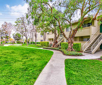 Apartments Under 2000 In Fremont Ca Apartmentguide Com