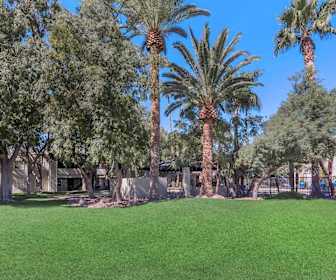Winter Haven Apartments For Rent 122 Apartments Tucson Az