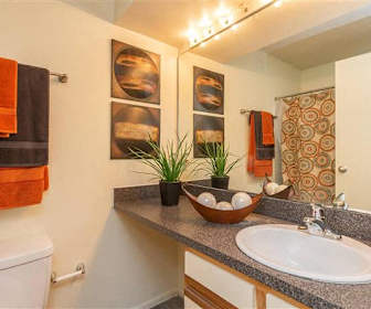 Apartments For Rent In New Smyrna Beach Fl 73 Rentals
