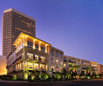 Pet Friendly Apartments For Rent In Miracle Mile Los Angeles