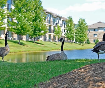 view of home's community featuring an expansive lawn, Prairie Lakes Apartments