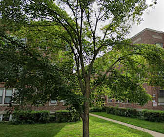 Trier Apartment Rent Cheap Apartment Rentals In Evanston Il