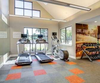 Ramblewood Apartments For Rent 256 Apartments San Jose Ca Apartmentguide Com