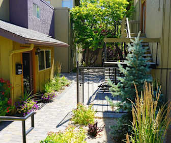 Skyline Boulevard Apartments For Rent 234 Apartments Reno Nv Apartmentguide Com