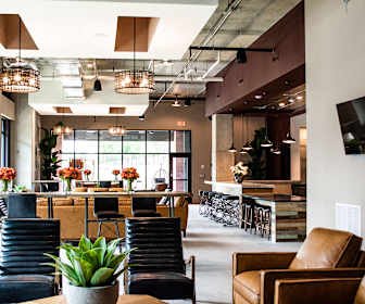 Elizabeth Apartments For Rent 140 Apartments Charlotte Nc