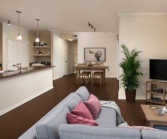 hardwood floored living room with TV, Camden Panther Creek